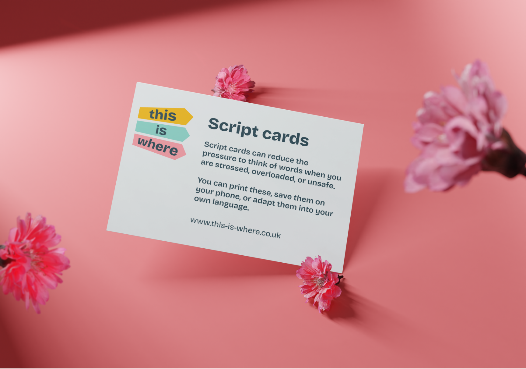 The white, introductory script card, against a pink background with flowers